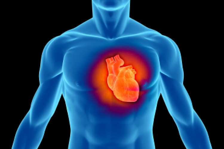 Szívrohamot okozhat a tesztoszteron-fokozók? 