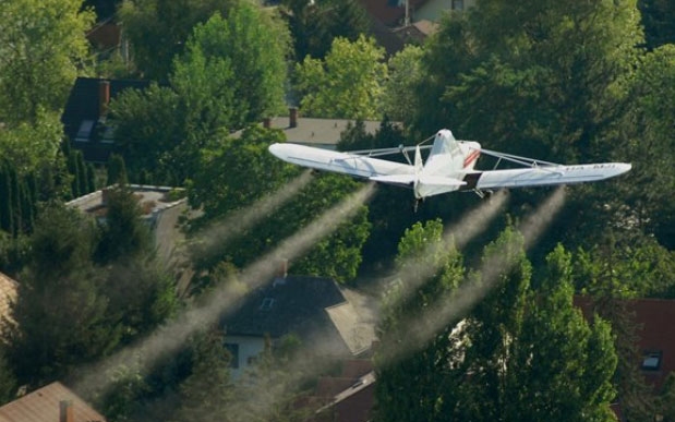 Június vége óta heti rendszerességgel zajlik a szúnyogirtás a Balatonnál