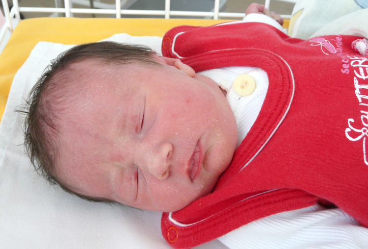 Hajdu Luca Laura