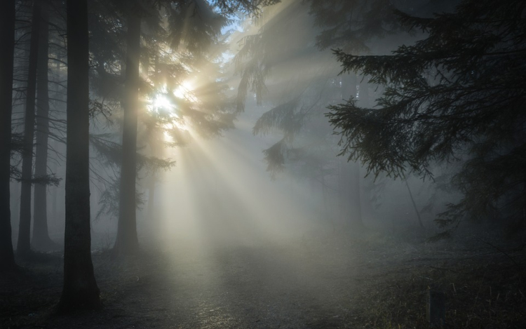 Átfogó fejlesztések a Duna-Dráva Nemzeti Parkban