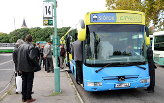 Kismamáknak ingyenesek a siófoki buszok