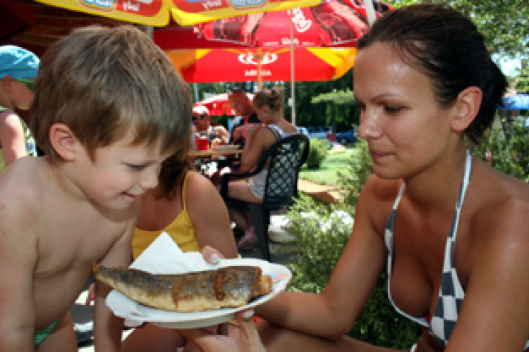 Sok a hűtőtáskás turista: a Balaton már régóta nem aranybánya
