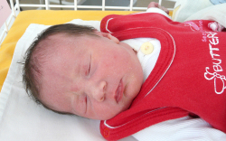 Hajdu Luca Laura