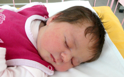 Rezi Luca